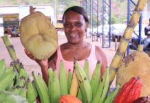 SDR, em parceria com a SPM, lança ação para incentivar a produção de famílias do campo chefiadas por mulheres Logo