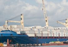 Setor externo responde por crescimento econômico em 2023 Setor externo responde por crescimento econômico em 2023