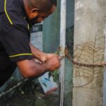 ação permite inspeção de imóveis abandonados para combate ao Aedes – Secretaria de Comunicação