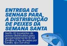 Prefeitura de Santo Antônio de Jesus dará início à distribuição das senhas para recebimento dos peixes