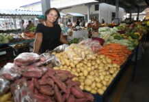 Agricultura familiar: Saúde e Serrolândia recebem mercados municipais revitalizados e ampliados Logo