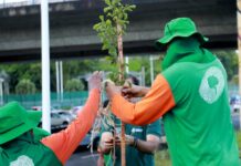 Cidadãos em Salvador poderão participar da Operação Plantio Chuva 2024 – Secretaria de Comunicação Cidadãos em Salvador poderão participar da Operação Plantio Chuva 2024 – Secretaria de Comunicação