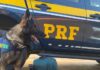 Em Vitória da Conquista (BA), PRF apreende cocaína transportada em mala — Polícia Rodoviária Federal WhatsApp Image 2024-04-12 at 17.38.07.jpeg