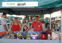 Feira Agroecológica de Campo Alegre de Lourdes gera renda e fortalece agricultura do município Logo