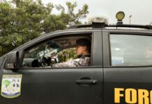 Força Nacional continuará apoiando Ibama na Amazônia Legal Força Nacional continuará apoiando Ibama na Amazônia Legal