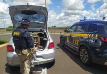 Na BR-050, PRF recupera 7 módulos furtados de caminhões no Triângulo Mineiro e Goiás — Polícia Rodoviária Federal WhatsApp Image 2024-04-08 at 18.43.49.jpeg