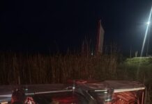 PRF apreende 1,6 toneladas de maconha em Campo Grande (MS) — Polícia Rodoviária Federal PRF apreende 1,6 toneladas de maconha em Campo Grande (MS)