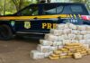 PRF apreende 206 Kg de maconha em Três Lagoas (MS) — Polícia Rodoviária Federal Imagem do WhatsApp de 2024-04-24 à(s) 14.56.43_2af190d9.jpg