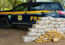 PRF apreende 206 Kg de maconha em Três Lagoas (MS) — Polícia Rodoviária Federal Imagem do WhatsApp de 2024-04-24 à(s) 14.56.43_2af190d9.jpg