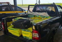 PRF apreende 578 Kg de maconha e skunk em Itaquiraí (MS) — Polícia Rodoviária Federal Imagem do WhatsApp de 2024-04-12 à(s) 10.17.34_994fa7fd.jpg