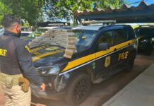 PRF apreende 60kg de Skunk com valor de mercado estimado em R$ 1,5 milhão — Polícia Rodoviária Federal 1d889f9f-7d96-464d-af79-2c29e1660d7a.jfif