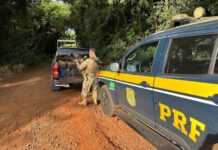 PRF apreende mais de 1 tonelada de maconha no Paraná — Polícia Rodoviária Federal maconha COE