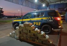 PRF apreende mais de uma tonelada de maconha em Ourinhos — Polícia Rodoviária Federal WhatsApp Image 2024-04-06 at 16.46.30.jpeg