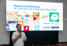 Palestras debatem mais oportunidades de mercado para a produtos da agricultura familiar no Seminário SIM/Susaf Logo