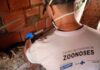 Prefeitura intensifica ações de prevenção à leptospirose em Salvador – Secretaria de Comunicação Prefeitura intensifica ações de prevenção à leptospirose em Salvador – Secretaria de Comunicação