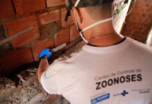 Prefeitura intensifica ações de prevenção à leptospirose em Salvador – Secretaria de Comunicação Prefeitura intensifica ações de prevenção à leptospirose em Salvador – Secretaria de Comunicação