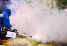 SMS prossegue com ações contra dengue neste final de semana – Secretaria de Comunicação SMS prossegue com ações contra dengue neste final de semana – Secretaria de Comunicação