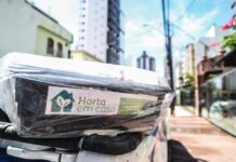 Secis abre novas inscrições para o Horta em Casa nesta terça (9) – Secretaria de Comunicação Secis abre novas inscrições para o Horta em Casa nesta terça (9) – Secretaria de Comunicação