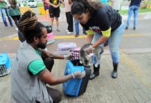 Secis promove operação para realocar gatos da Colônia de Piatã – Secretaria de Comunicação Secis promove operação para realocar gatos da Colônia de Piatã – Secretaria de Comunicação