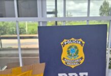 Vitória da Conquista (BA), PRF intercepta carga de cigarros eletrônicos — Polícia Rodoviária Federal WhatsApp Image 2024-03-25 at 18.14.58.jpg