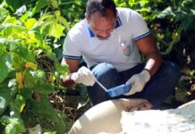 Ações preventivas e educativas contra o Aedes aegypti seguem em Salvador neste final de semana – Secretaria de Comunicação Ações preventivas e educativas contra o Aedes aegypti seguem em Salvador neste final de semana – Secretaria de Comunicação