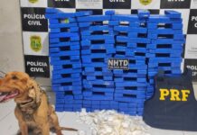 Em Penaforte (CE), ação conjunta da PRF e PCCE resulta na apreensão de 150 kg de maconha e prisão de 2 pessoas — Polícia Rodoviária Federal macon.jpg