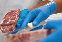 Empresas vão doar 2 milhões de quilos de carne ao RS, anuncia Lula Empresas vão doar 2 milhões de quilos de carne ao RS, anuncia Lula