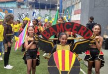 Estudantes da rede estadual promovem desfile de fanfarras pela paz Logo