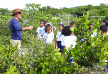Estudantes participam de ação pelo Dia Mundial do Meio Ambiente no Parque das Dunas – Secretaria de Comunicação Estudantes participam de ação pelo Dia Mundial do Meio Ambiente no Parque das Dunas – Secretaria de Comunicação