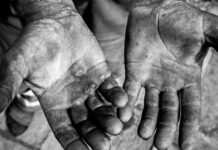 Governo acolhe baianos resgatados de fazenda no Espírito Santo Logo