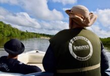 Inema: 13 anos de compromisso com a gestão ambiental no estado da Bahia Logo