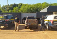 PRF apreende 1 tonelada de maconha em Jardim (MS) — Polícia Rodoviária Federal PRF apreende 1 tonelada de maconha em Jardim (MS)