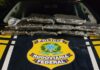 PRF apreende maconha em ônibus em Três Lagoas (MS) — Polícia Rodoviária Federal WhatsApp Image 2024-05-27 at 12.21.16.jpeg