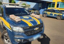 PRF apreende mais de 10 Kg de Maconha dentro de veículo na BR 050 em Uberaba(MG) — Polícia Rodoviária Federal Maconha Uberaba.jpeg
