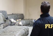 PRF e PF apreendem 2,5 toneladas de maconha na região de Londrina (PR) — Polícia Rodoviária Federal maconha