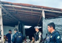 PRF encerra Operação Domiduca X, em Alagoas — Polícia Rodoviária Federal WhatsApp Image 2024-05-20 at 17.12.13.jpeg