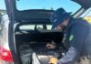 PRF localiza 159 kg de maconha em automóvel na BR-101 em Biguaçu — Polícia Rodoviária Federal 02f350d6-5467-4eb0-8ce2-79c6268f43dc.jpg