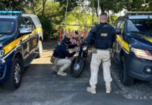 PRF na Paraíba socorre andarilho, resgata aves, detém cinco pessoas, recupera quatro veículos e prende foragido da Justiça WhatsApp Image 2024-05-13 at 14.28.06.jpeg