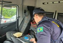PRF no Ceará alerta para o uso de drogas por parte de motoristas profissionais — Polícia Rodoviária Federal cocaina.jpg