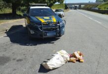 PRF prende 3 saqueadores de carga e apreende veículo em Lavras (MG) — Polícia Rodoviária Federal IMG-20240502-WA0008.jpg