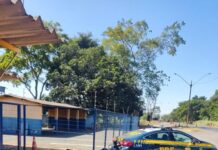 PRF recupera 5 motocicletas furtadas ao fiscalizar ônibus na BR 365 em Patos de Minas (MG) — Polícia Rodoviária Federal Motos recuperadas em Patos de Minas.jpeg