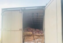PRF recupera carga de carne bovina e caminhão roubados, e prende motorista — Polícia Rodoviária Federal WhatsApp Image 2024-05-24 at 12.00.07.jpeg