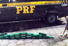 Passageiro de ônibus é preso com cerca de 20 quilos de maconha no RJ — Polícia Rodoviária Federal GOC_29_05_2024.jpg