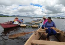 Piscicultoras de Itiúba investem na criação de peixes para alcançar autonomia Logo