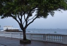 Prefeitura realiza ações de preservação de monumentos na Barra – Secretaria de Comunicação Prefeitura realiza ações de preservação de monumentos na Barra – Secretaria de Comunicação