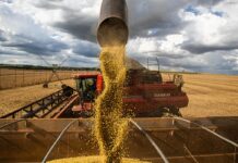 Alckmin comemora dados de produção agroindustrial em abril Alckmin comemora dados de produção agroindustrial em abril
