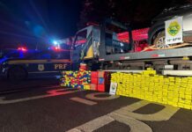 Após fugas, PRF e PMPR apreendem dois veículos carregados com quase 1 tonelada de maconha — Polícia Rodoviária Federal WhatsApp Image 2024-05-29 at 21.47.56.jpeg