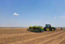 Bahia inicia período de vazio sanitário da soja Logo