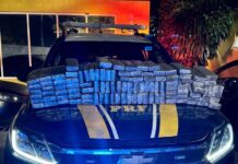 Duas pessoas são presas transportando aproximadamente 100 quilos de maconha em Mangaratiba/RJ — Polícia Rodoviária Federal WhatsApp Image 2024-06-22 at 10.00.42.jpeg