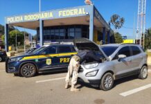 Em Betim (MG), PRF prende mulher com veículo furtado e clonado — Polícia Rodoviária Federal WhatsApp Image 2024-06-07 at 11.45.15.jpeg